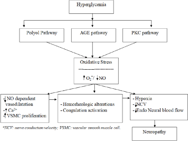 Possible mechanisms of diabetic neuropathy