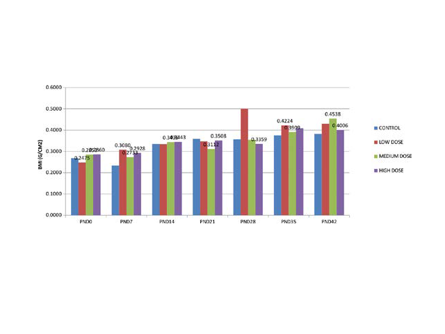 Effect of maternal administration of m. oleifera during lactation on BMI of over nourished pups (group 1).